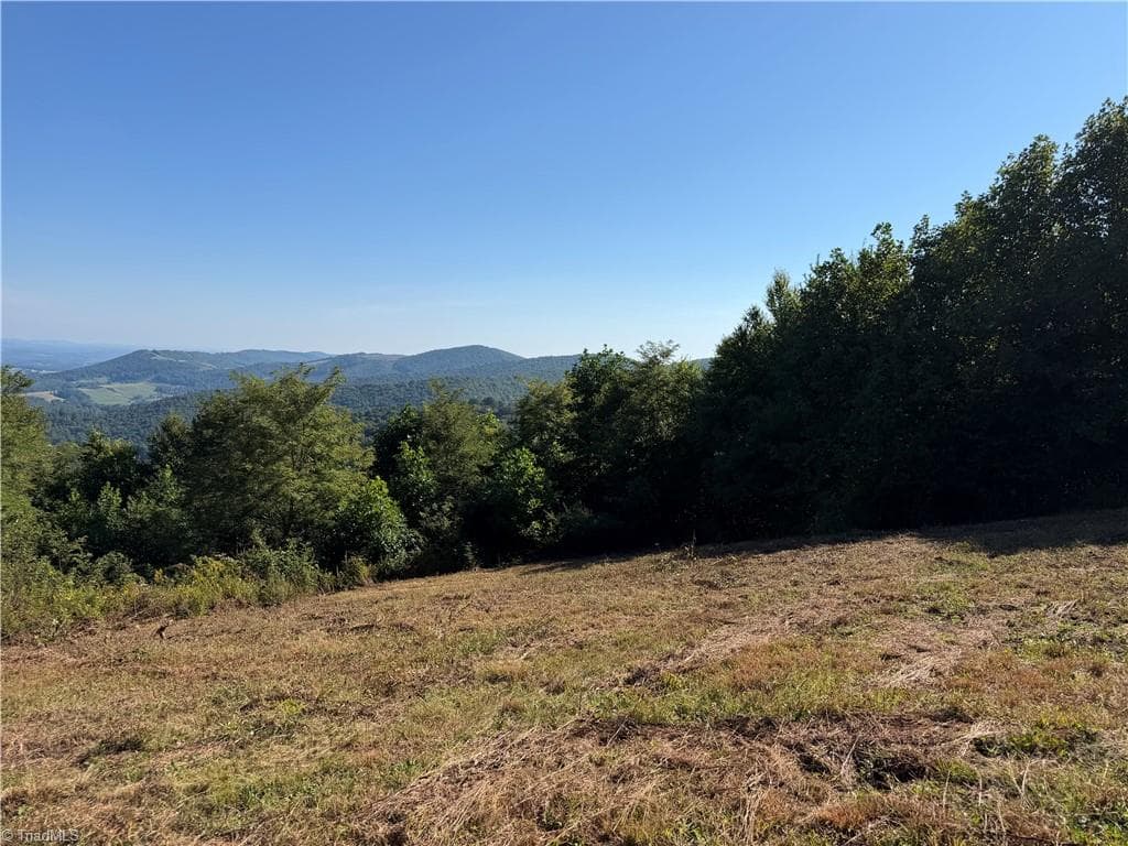 Unimproved Land at TBD Irwin Grocery Road, Laurel Springs NC 28644, photo 12 of 46