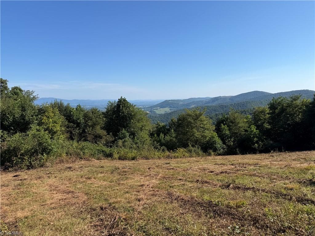 Unimproved Land at TBD Irwin Grocery Road, Laurel Springs NC 28644, photo 7 of 46