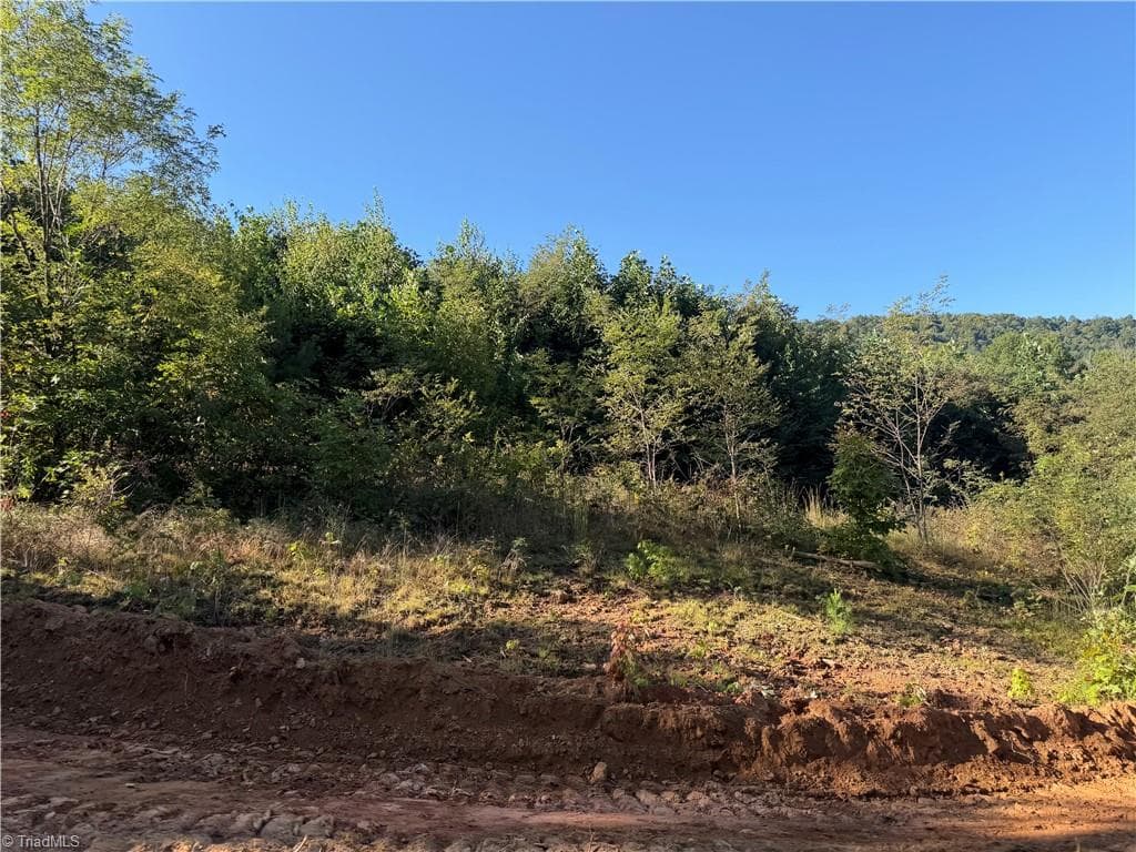 Unimproved Land at TBD Irwin Grocery Road, Laurel Springs NC 28644, photo 3 of 46