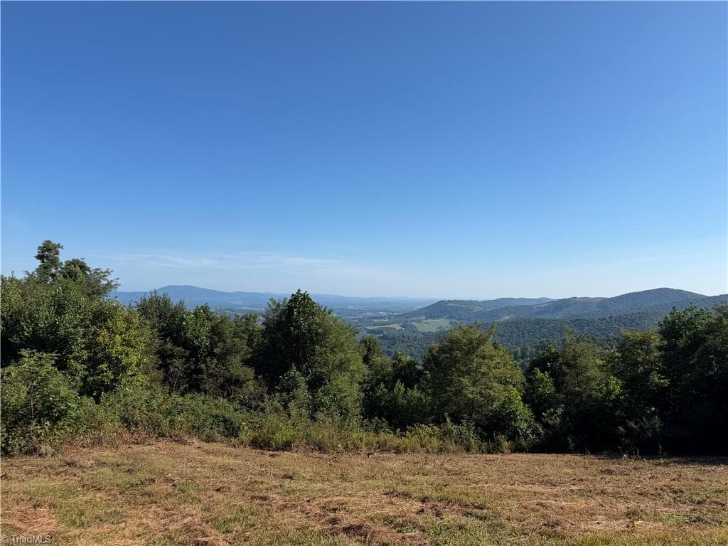 Unimproved Land at TBD Irwin Grocery Road, Laurel Springs NC 28644
