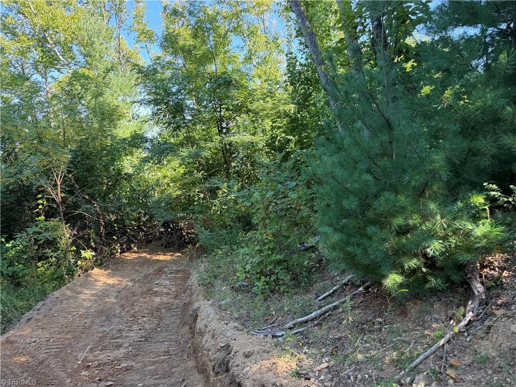 Unimproved Land at TBD Irwin Grocery Road, Laurel Springs NC 28644, photo 24 of 46