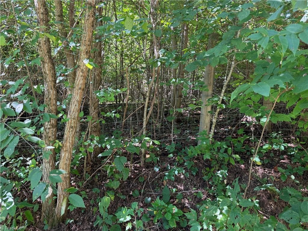 Unimproved Land at TBD Irwin Grocery Road, Laurel Springs NC 28644, photo 30 of 46