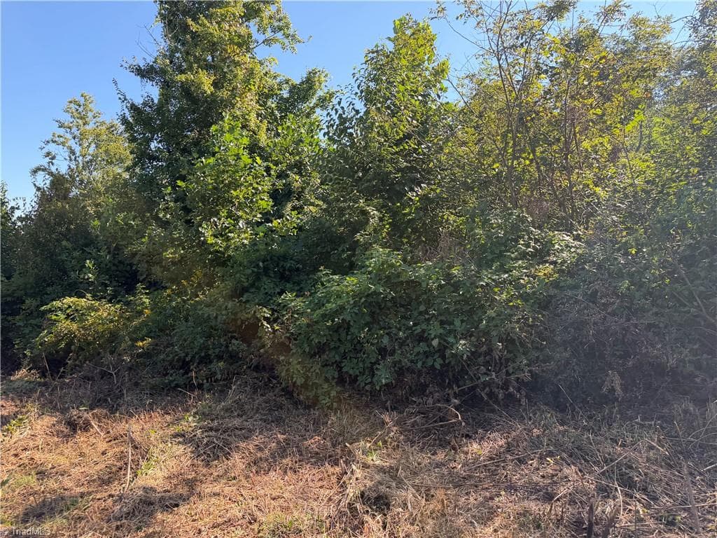 Unimproved Land at TBD Irwin Grocery Road, Laurel Springs NC 28644, photo 14 of 46