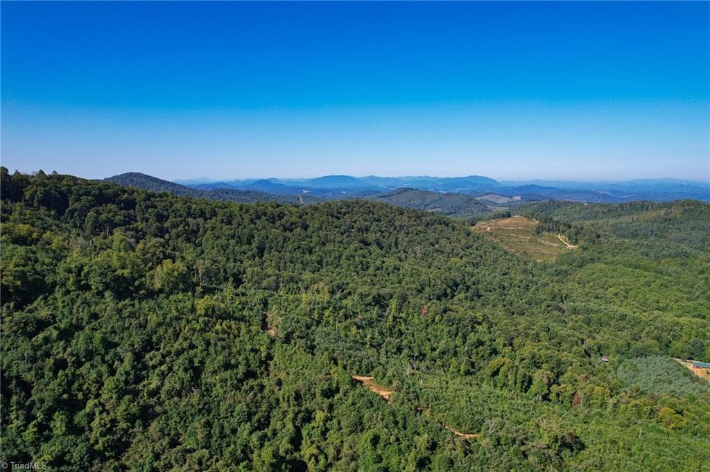 Unimproved Land at TBD Irwin Grocery Road, Laurel Springs NC 28644, photo 41 of 46