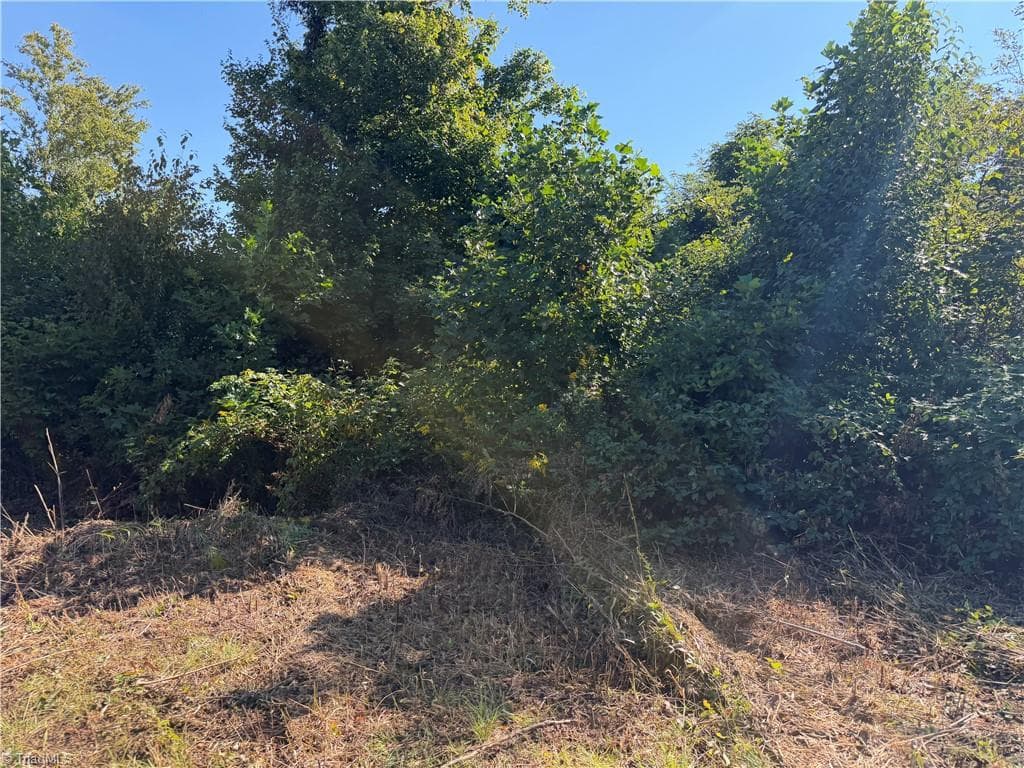 Unimproved Land at TBD Irwin Grocery Road, Laurel Springs NC 28644, photo 15 of 46