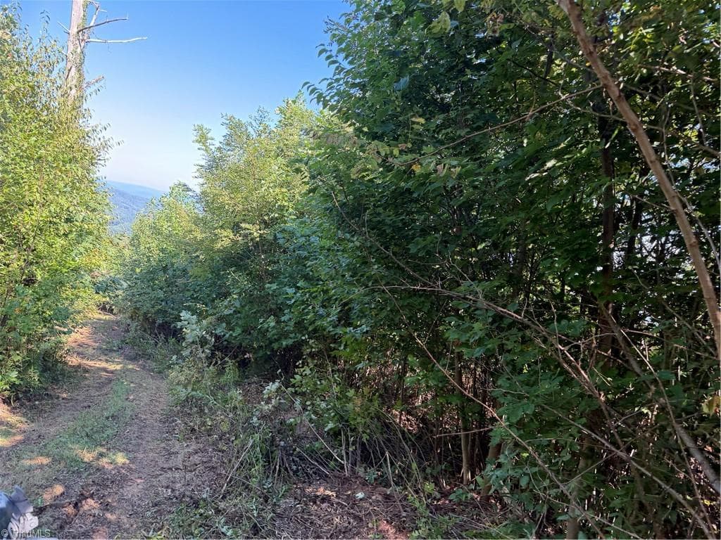 Unimproved Land at TBD Irwin Grocery Road, Laurel Springs NC 28644, photo 19 of 46