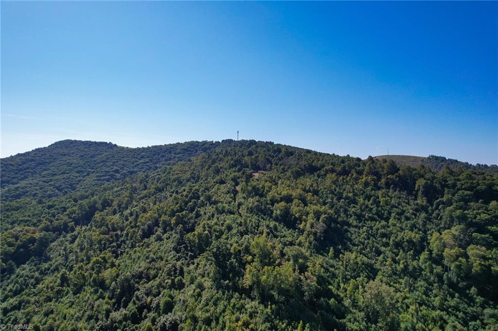 Unimproved Land at TBD Irwin Grocery Road, Laurel Springs NC 28644, photo 44 of 46