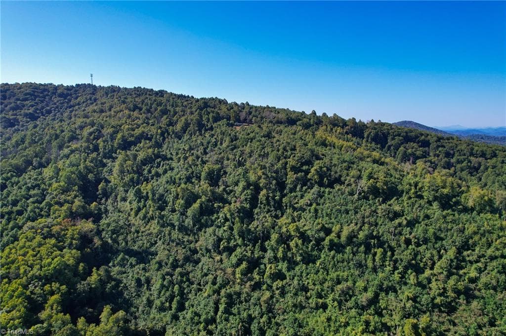 Unimproved Land at TBD Irwin Grocery Road, Laurel Springs NC 28644, photo 40 of 46