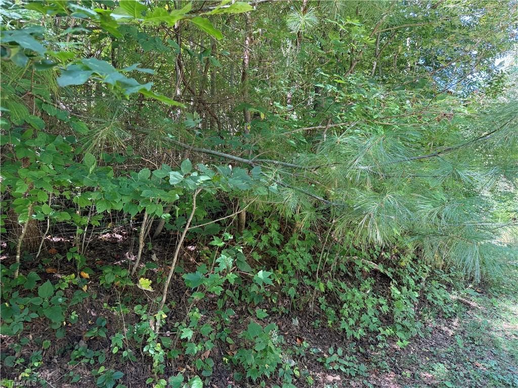 Unimproved Land at TBD Irwin Grocery Road, Laurel Springs NC 28644, photo 31 of 46