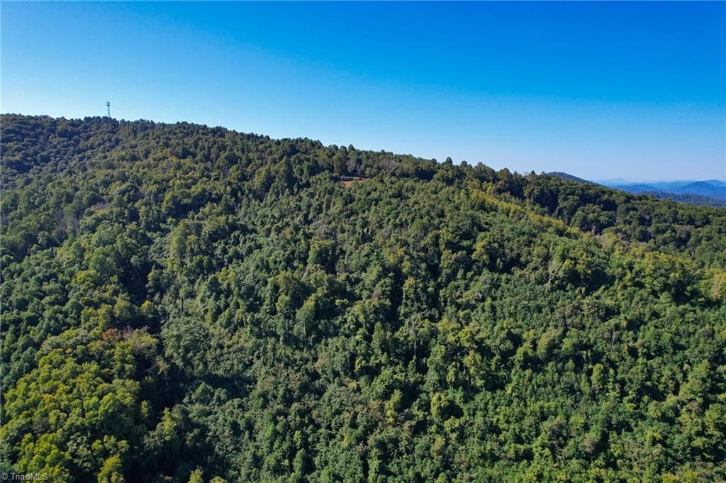 Unimproved Land at TBD Irwin Grocery Road, Laurel Springs NC 28644, photo 39 of 46