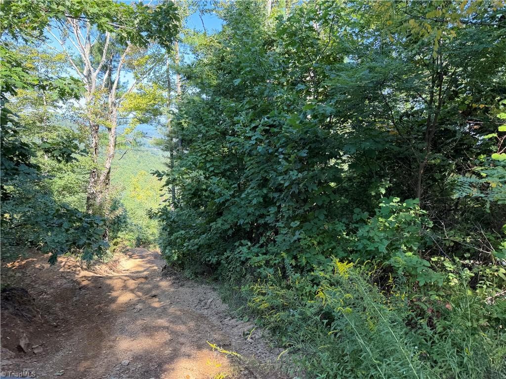 Unimproved Land at TBD Irwin Grocery Road, Laurel Springs NC 28644, photo 25 of 46
