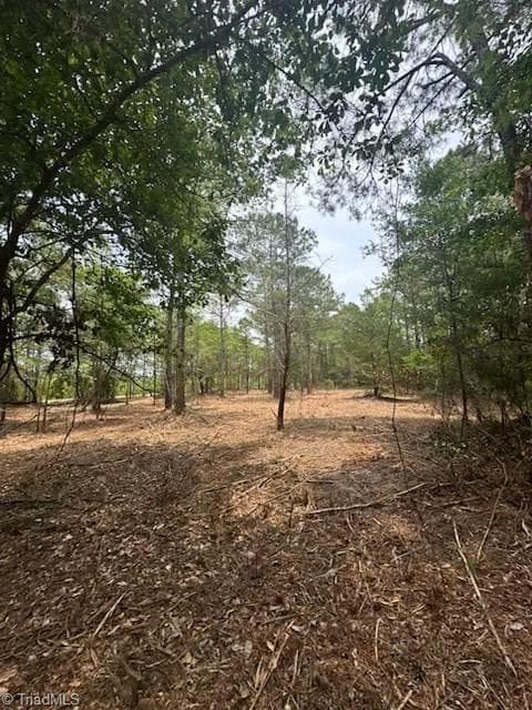 515 Meredith Street, High Point NC 27260