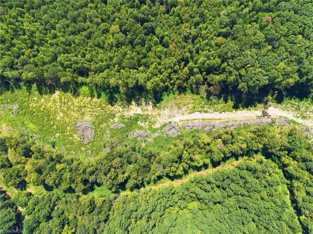 Unimproved Land at 507 Birch Creek Road, McLeansville NC 27301, photo 6 of 13