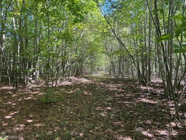 Unimproved Land at 000 Sandy Cross Road, Reidsville NC 27320, photo 42 of 48