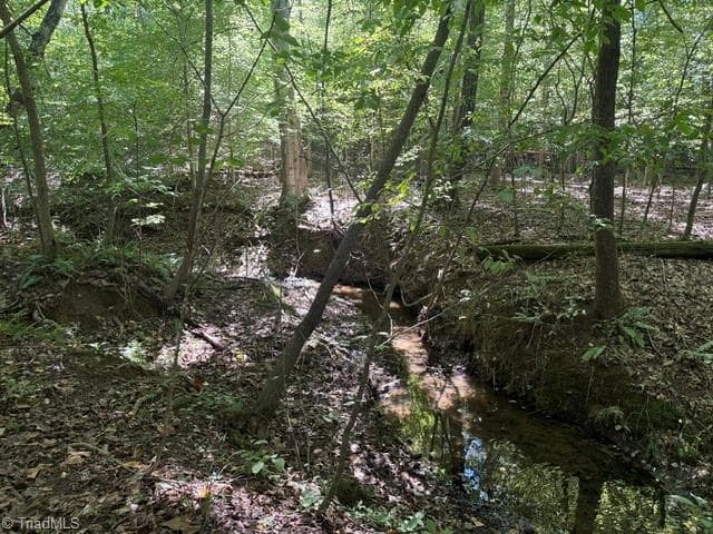 Unimproved Land at 000 Sandy Cross Road, Reidsville NC 27320, photo 46 of 48