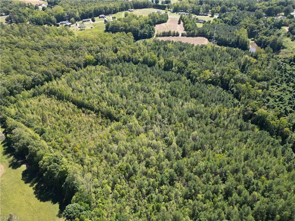 Unimproved Land at 000 Sandy Cross Road, Reidsville NC 27320, photo 13 of 48