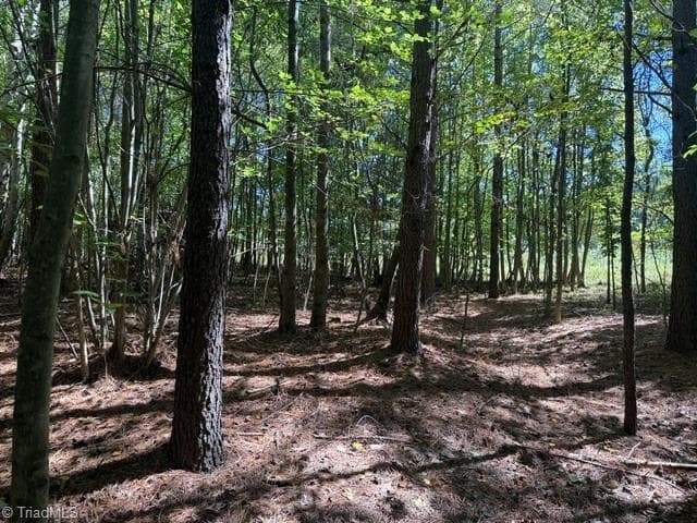 Unimproved Land at 000 Sandy Cross Road, Reidsville NC 27320, photo 47 of 48