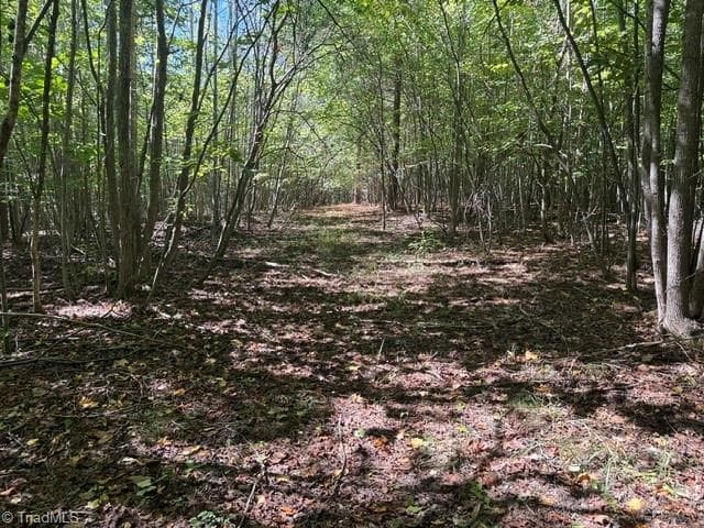 Unimproved Land at 000 Sandy Cross Road, Reidsville NC 27320, photo 43 of 48