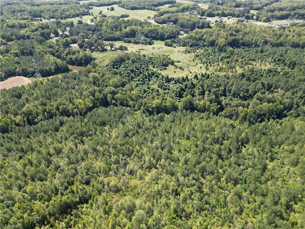 Unimproved Land at 000 Sandy Cross Road, Reidsville NC 27320, photo 12 of 48