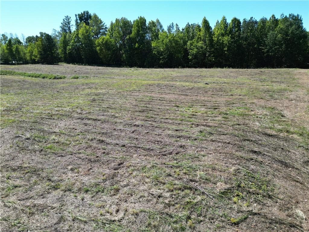 Unimproved Land at 000 Sandy Cross Road, Reidsville NC 27320, photo 3 of 48