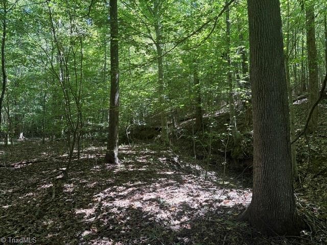 Unimproved Land at 000 Sandy Cross Road, Reidsville NC 27320, photo 36 of 48