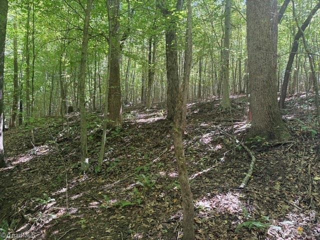 Unimproved Land at 000 Sandy Cross Road, Reidsville NC 27320, photo 32 of 48
