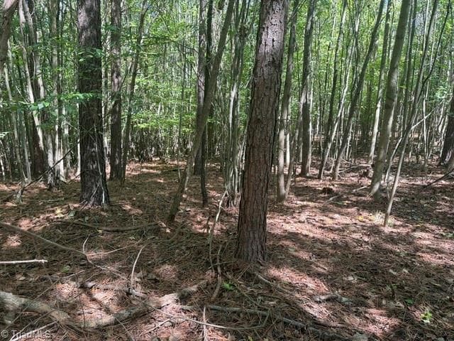 Unimproved Land at 000 Sandy Cross Road, Reidsville NC 27320, photo 30 of 48