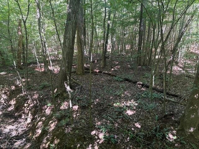Unimproved Land at 000 Sandy Cross Road, Reidsville NC 27320, photo 34 of 48