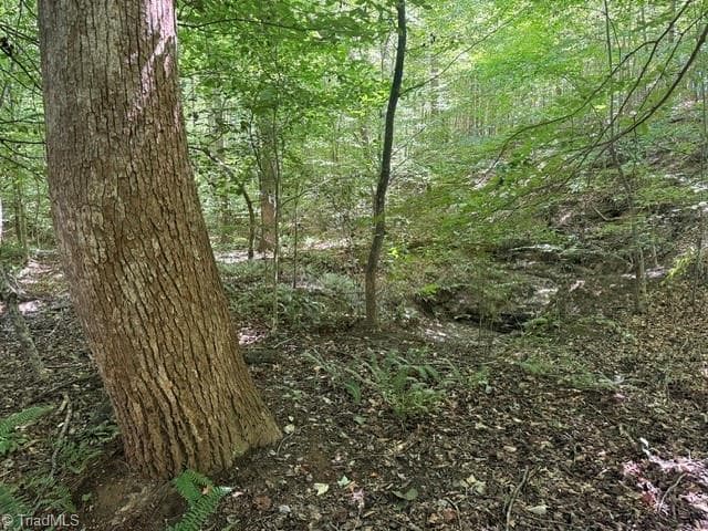 Unimproved Land at 000 Sandy Cross Road, Reidsville NC 27320, photo 38 of 48