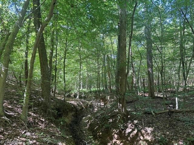 Unimproved Land at 000 Sandy Cross Road, Reidsville NC 27320, photo 33 of 48
