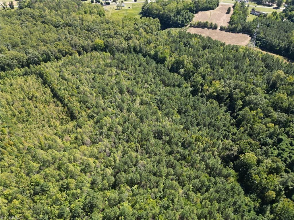 Unimproved Land at 000 Sandy Cross Road, Reidsville NC 27320, photo 14 of 48
