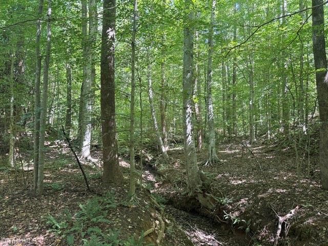 Unimproved Land at 000 Sandy Cross Road, Reidsville NC 27320, photo 41 of 48