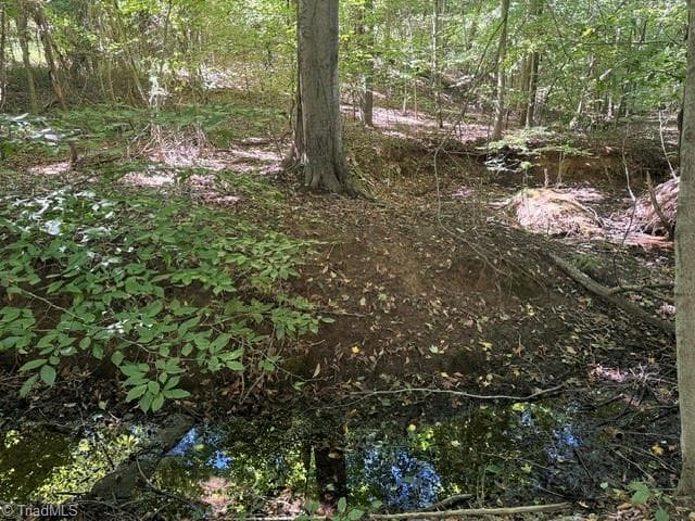 Unimproved Land at 000 Sandy Cross Road, Reidsville NC 27320, photo 45 of 48
