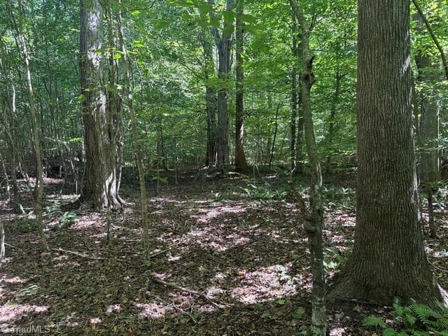 Unimproved Land at 000 Sandy Cross Road, Reidsville NC 27320, photo 37 of 48
