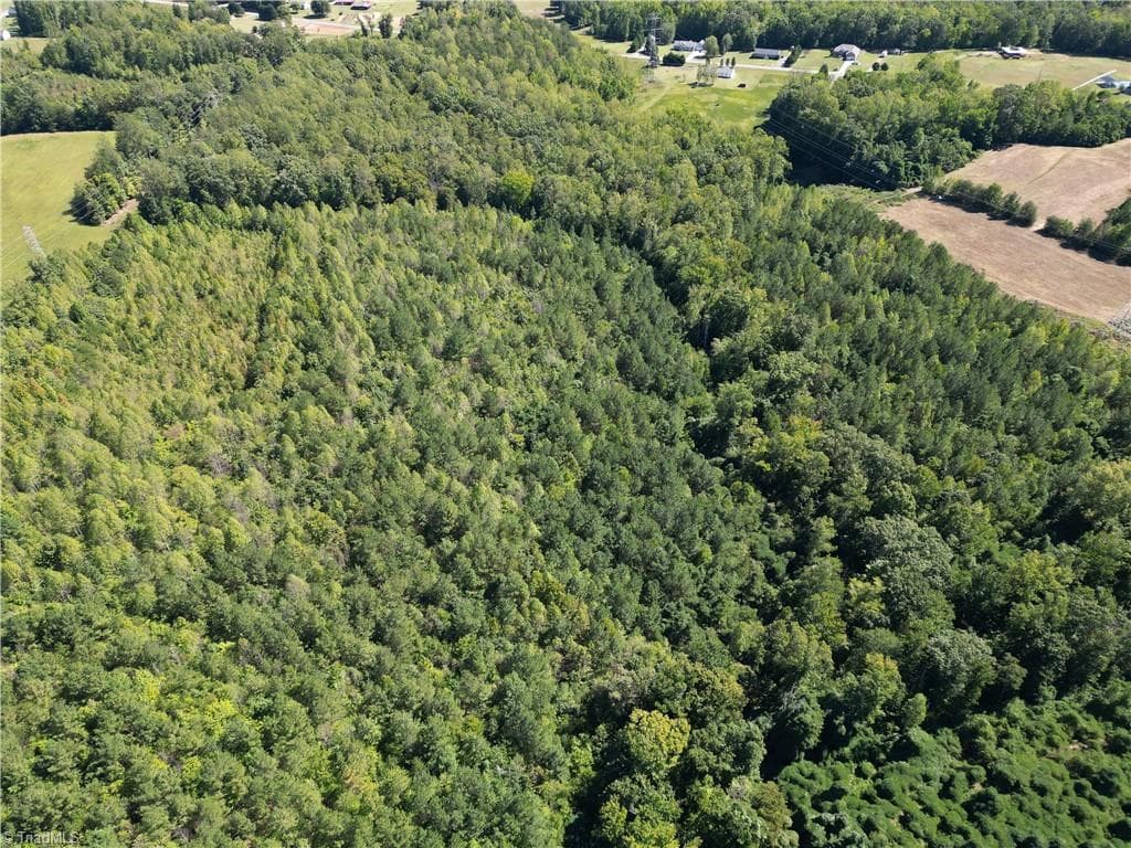 Unimproved Land at 000 Sandy Cross Road, Reidsville NC 27320, photo 15 of 48