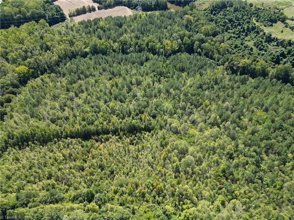Unimproved Land at 000 Sandy Cross Road, Reidsville NC 27320, photo 11 of 48