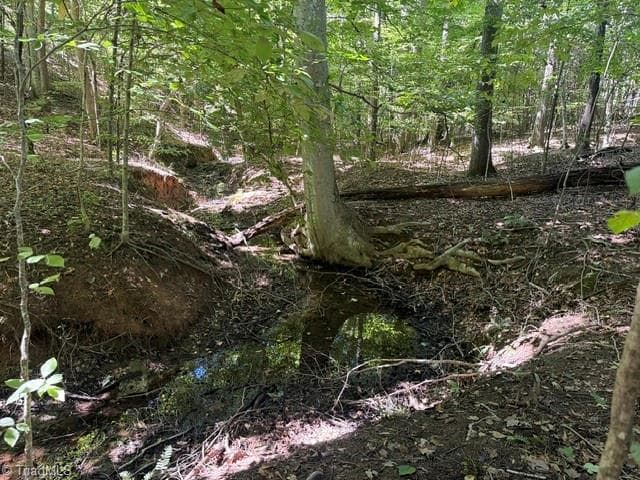 Unimproved Land at 000 Sandy Cross Road, Reidsville NC 27320, photo 44 of 48