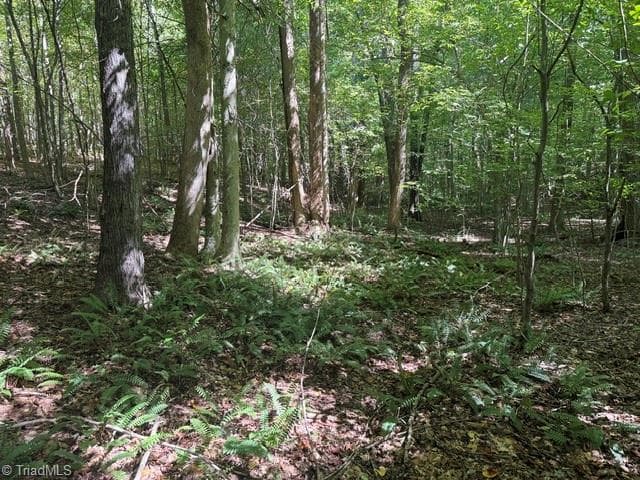 Unimproved Land at 000 Sandy Cross Road, Reidsville NC 27320, photo 40 of 48