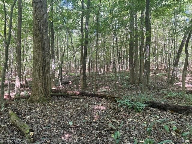Unimproved Land at 000 Sandy Cross Road, Reidsville NC 27320, photo 35 of 48