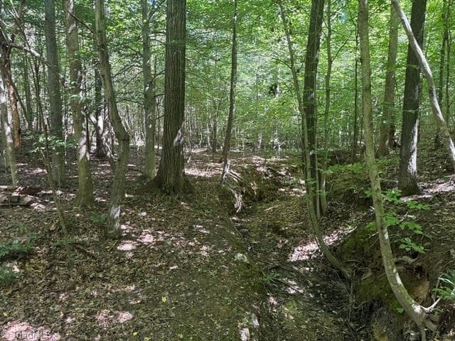 Unimproved Land at 000 Sandy Cross Road, Reidsville NC 27320, photo 31 of 48