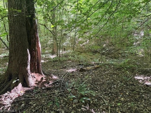 Unimproved Land at 000 Sandy Cross Road, Reidsville NC 27320, photo 39 of 48