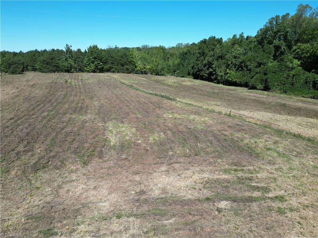 Unimproved Land at 000 Sandy Cross Road, Reidsville NC 27320, photo 4 of 48