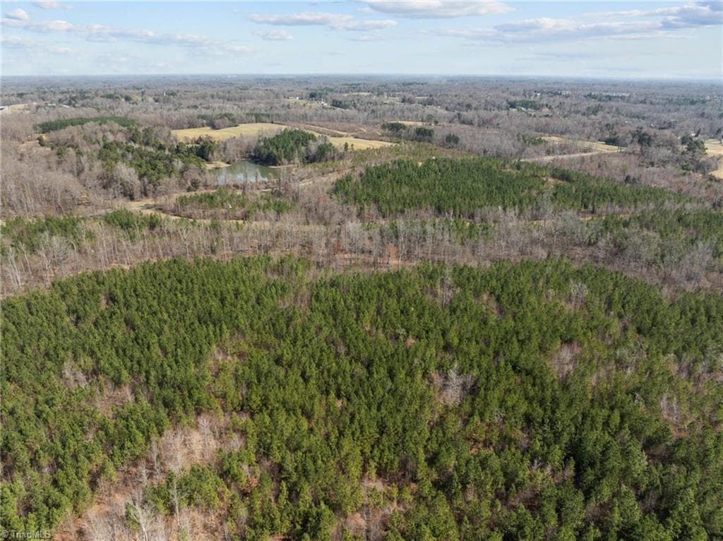 Unimproved Land at 2630 MINDEN Road, Pleasant Garden NC 27313, photo 2 of 17
