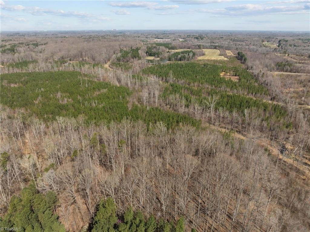 Unimproved Land at 2646 Minden Road, Pleasant Garden NC 27313, Pleasant Garden, photo 5 of 34