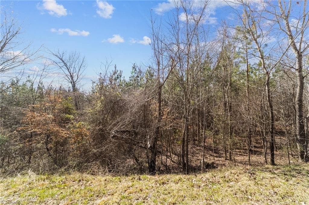 Unimproved Land at 2646 Minden Road, Pleasant Garden NC 27313, Pleasant Garden, photo 27 of 34