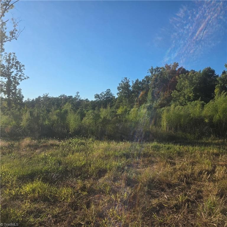 Unimproved Land at 3655 Mack Lineberry Road, Franklinville NC 27248, photo 2 of 8