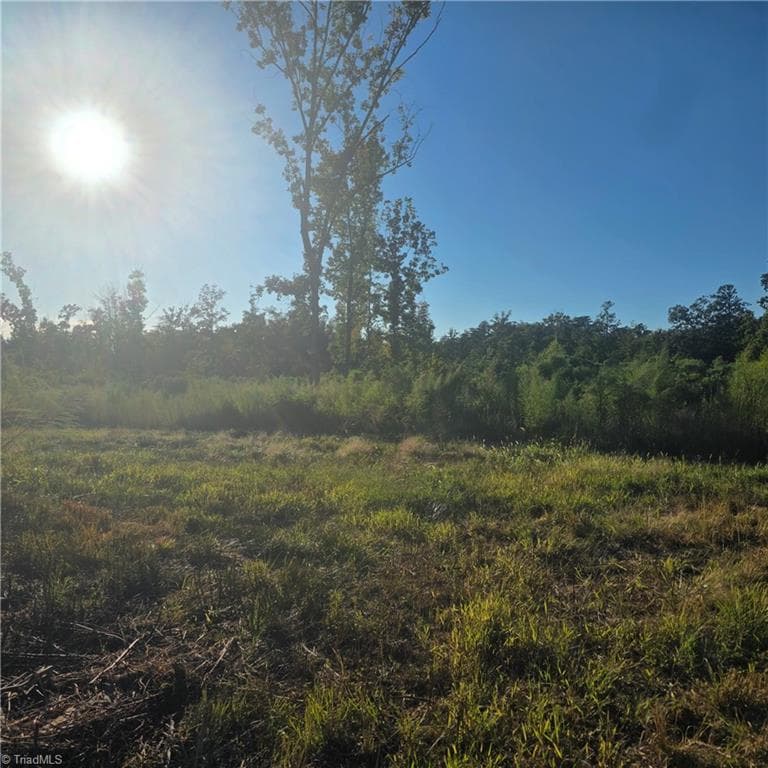 Unimproved Land at 3655 Mack Lineberry Road, Franklinville NC 27248, photo 3 of 8