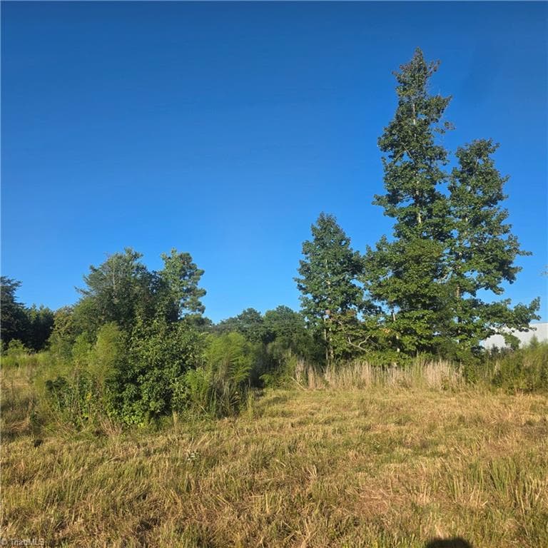 Unimproved Land at 3655 Mack Lineberry Road, Franklinville NC 27248, photo 5 of 8