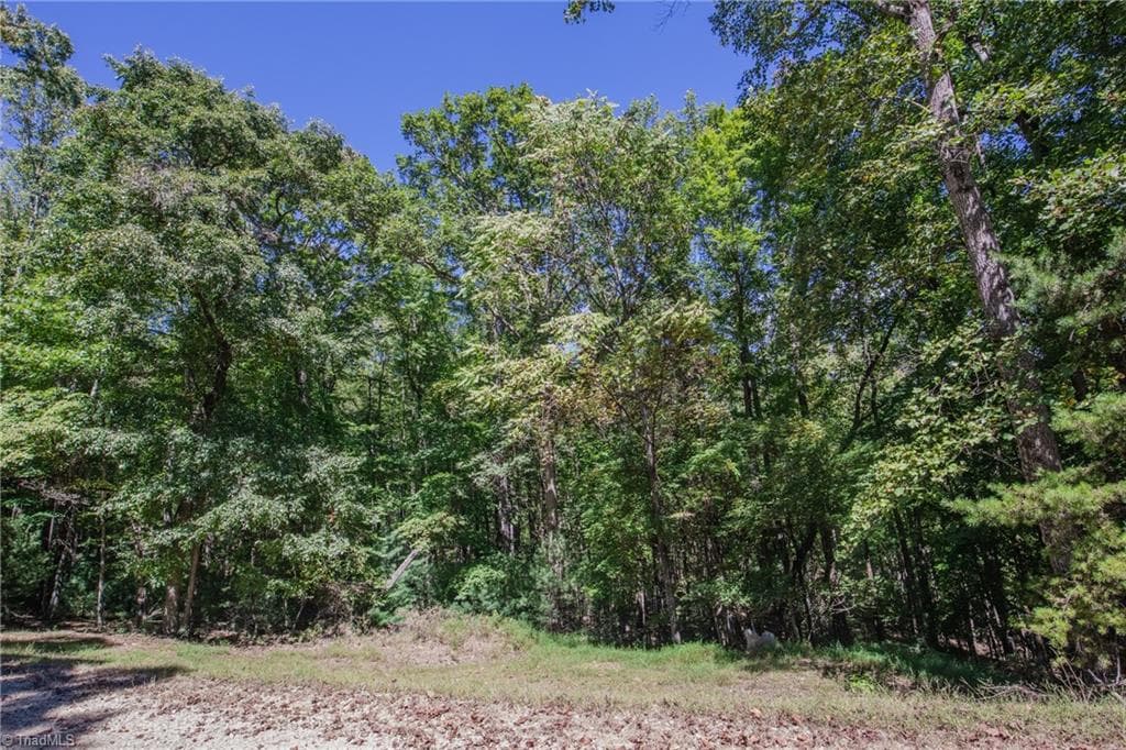 Unimproved Land at 00 Sutters Ridge Road, McGrady NC 28649, McGrady, photo 12 of 16