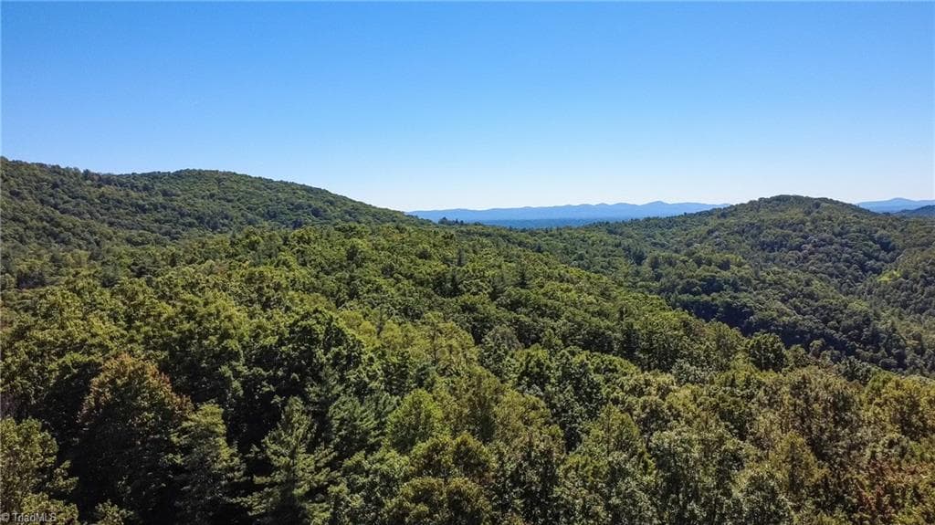 00 Sutters Ridge Road, McGrady NC 28649